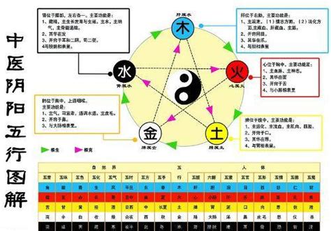 金生水意思|五行中为什么是金生水？